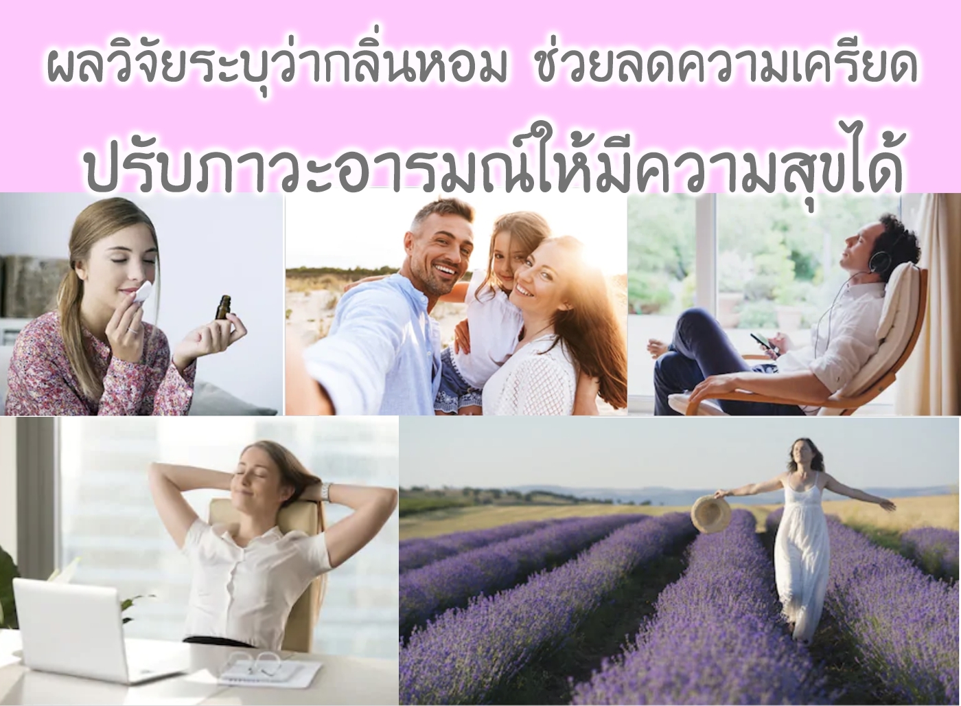 Scentnature ก้านไม้หอมอโรม่าปรับอากาศScentnature กลิ่น Pomegranate