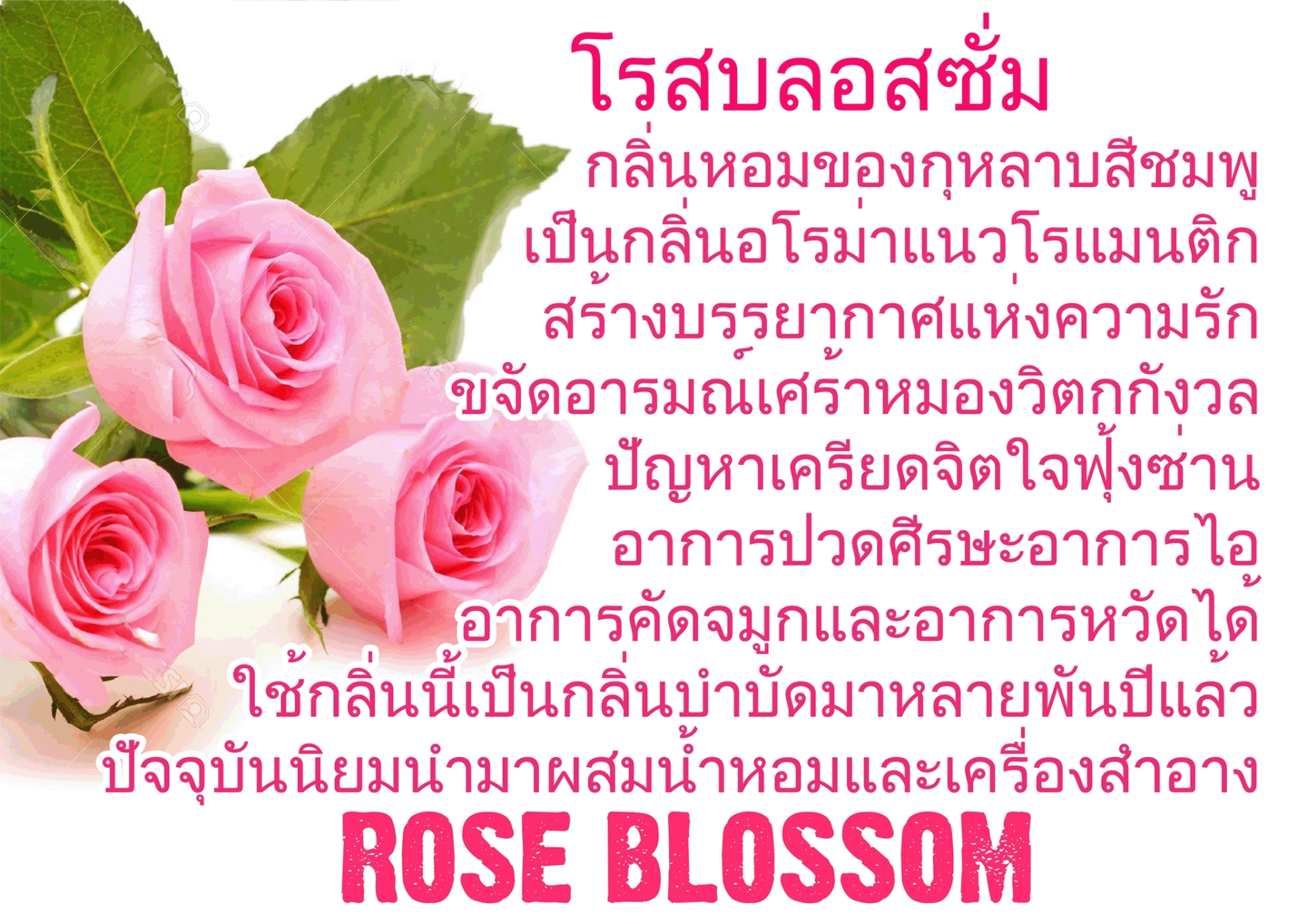 Scentnature ก้านไม้หอมอโรม่าปรับอากาศScentnature กลิ่น Rose Blossom