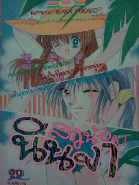 สาวน้อยนินจา (เล่มเดียวจบ)