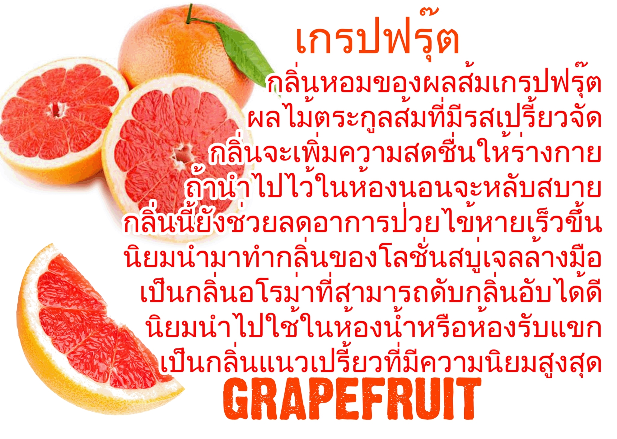 Scentnature ก้านไม้หอมอโรม่าปรับอากาศScentnature กลิ่น Grapefruit