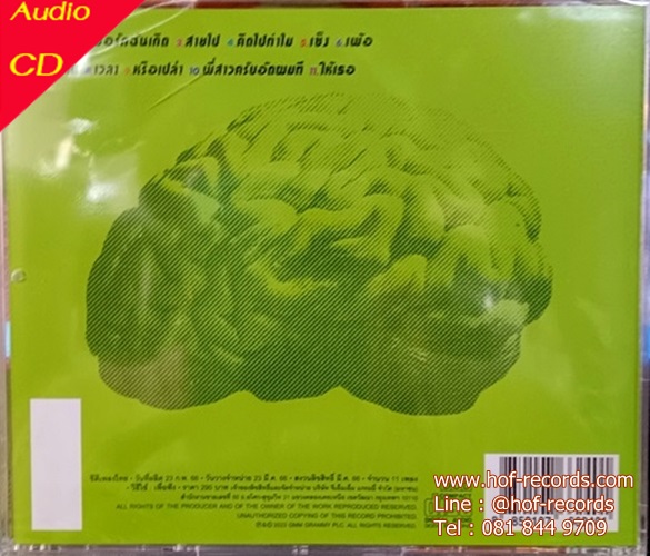 CD Silly fools - I.Q.180 * New