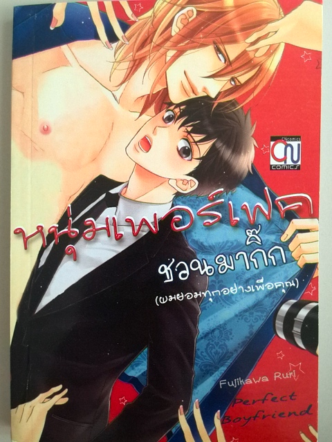 หนุ่มเพอร์เฟคชวนมากิ๊ก (เล่มเดียวจบ)
