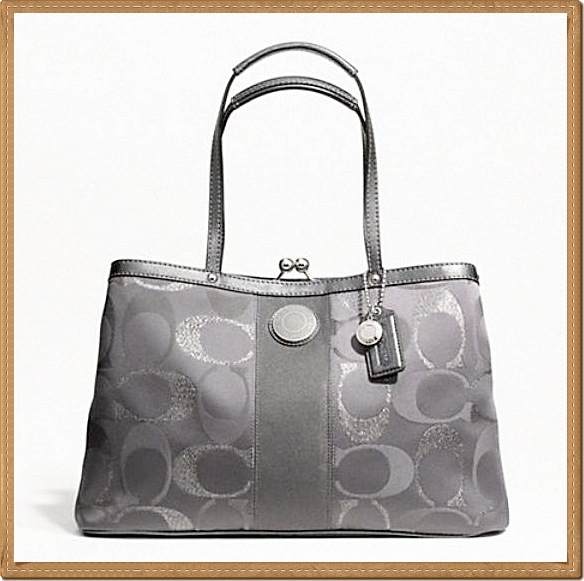 Coach Signature Stripe 3 Color Metallic Framed Carryall 20427