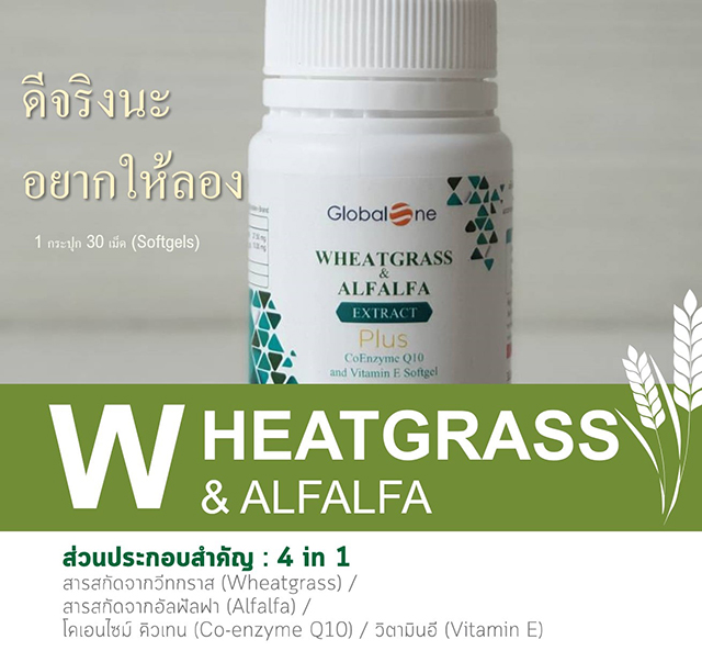 Global One ผักเม็ดWheatgrass & Alfalfa Extract Plus