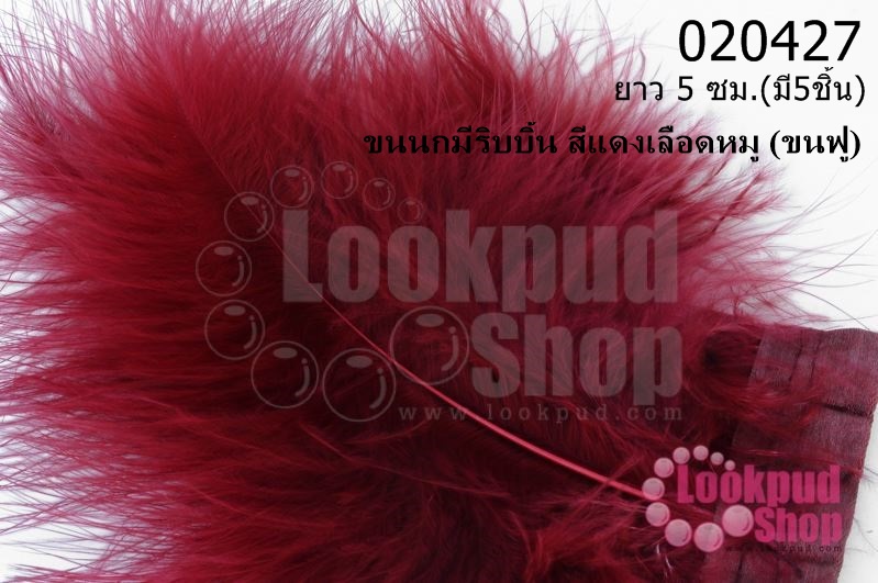 ขนนกมีริบบิ้น สีแดงเลือดหมู (ขนฟู) ยาว 5 ซม.