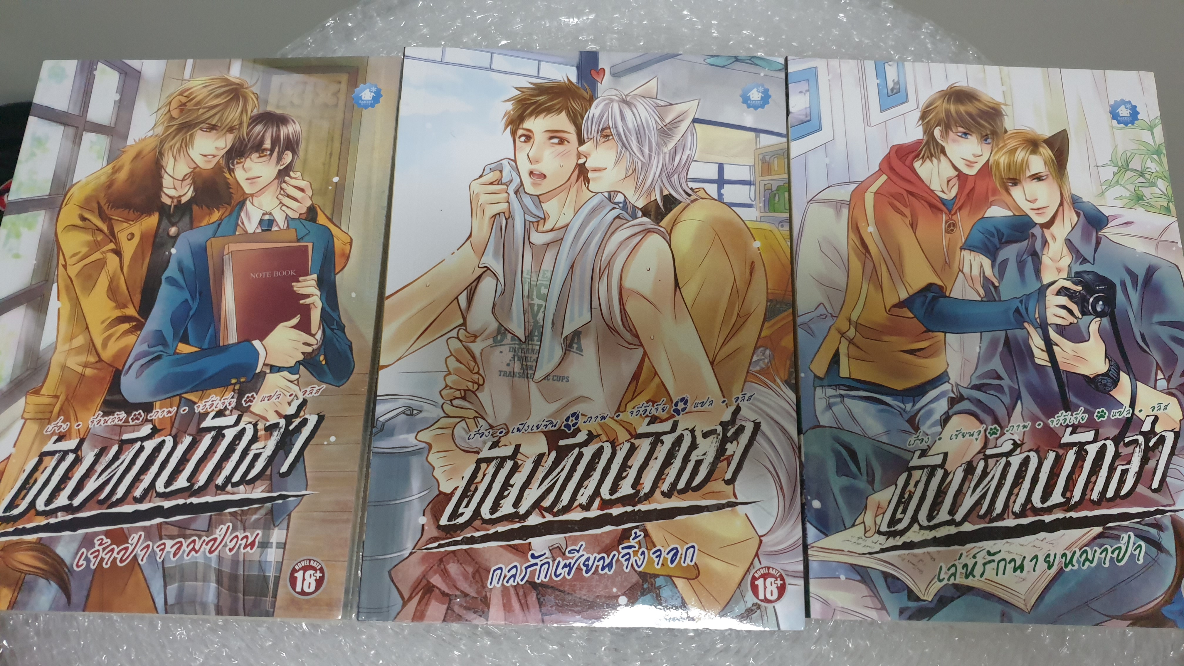 (ในซีล) นิยายวายจีนแปล "ชุด บันทึกนักล่า (จบในเล่ม)" โดย เชียนอู่