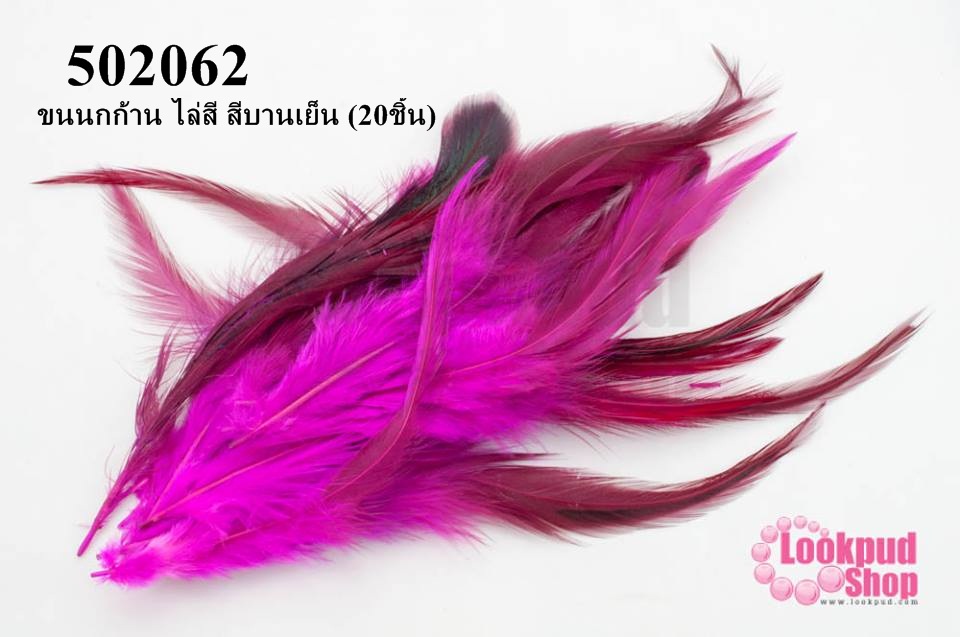 ขนนกก้าน ไล่สี สีบานเย็น (20ชิ้น)