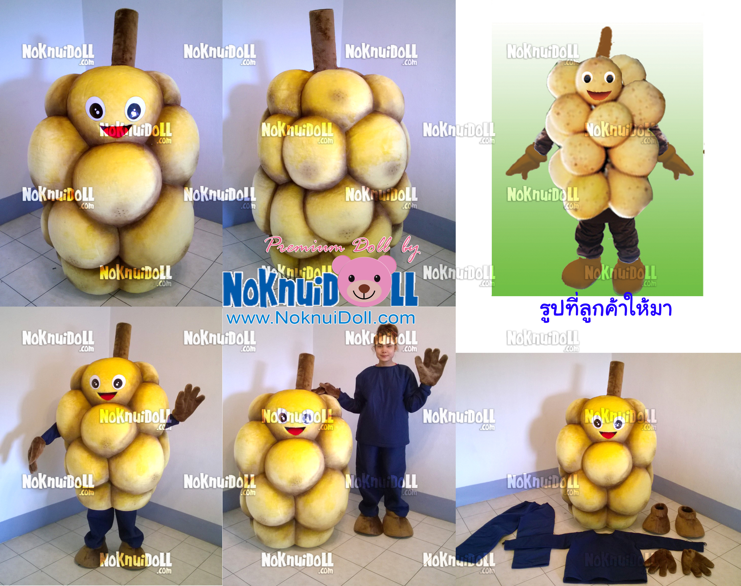 มาสคอทตุ๊กตา (สวมใส่คน) ผลไม้ ลองกอง จ.อุตรดิตถ์