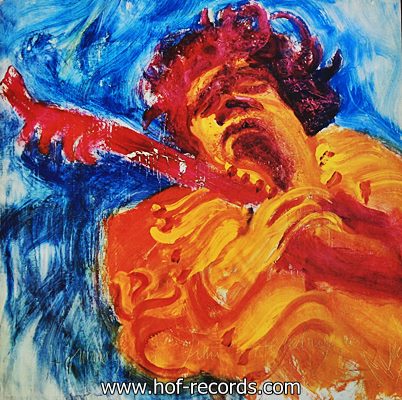 Jimi Hendrix - The Jimi Hendrix Concerts 2lp