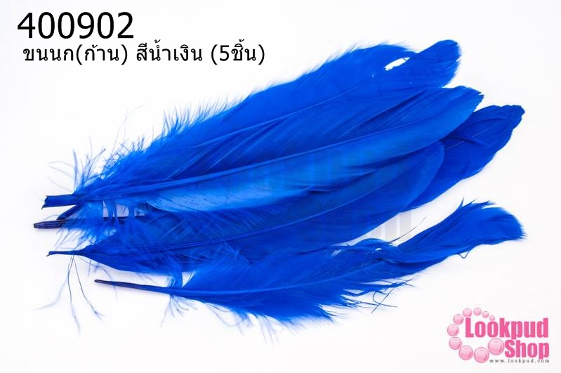 ขนนก(ก้าน) สีน้ำเงิน (5ชิ้น)