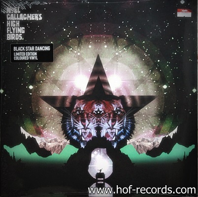 Noel Gallagher's - High Flying birds 1Lp N.