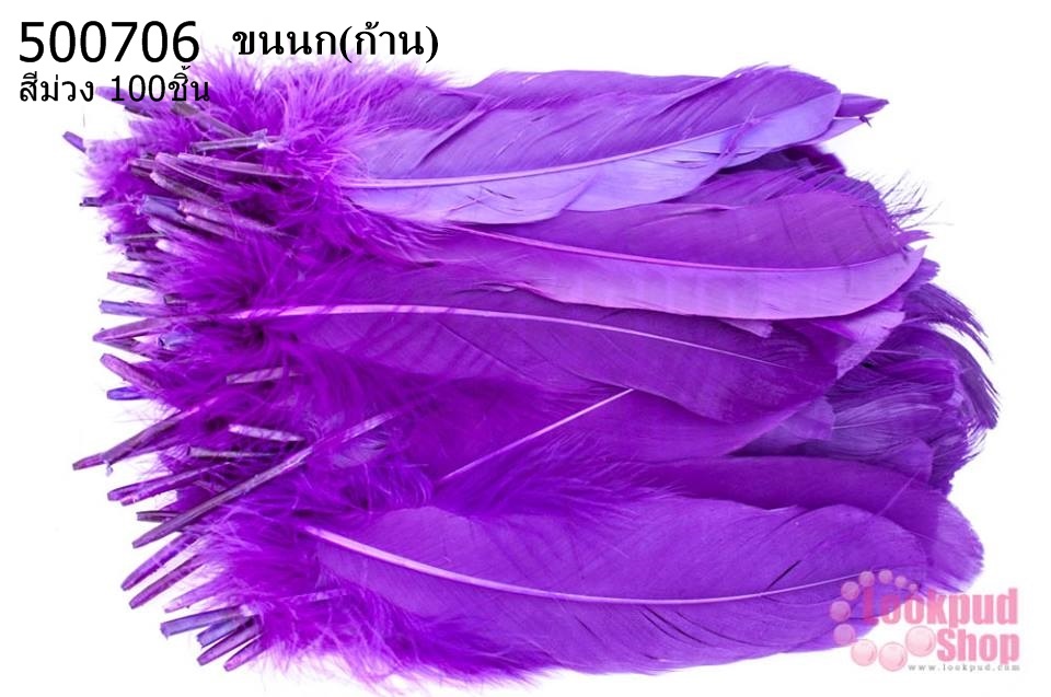ขนนก(ก้าน) สีม่วง 100ชิ้น