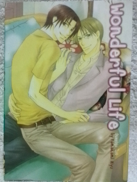 Wonderful Life (เล่มเดียวจบ)