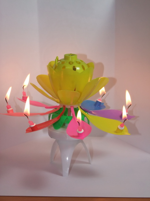 New! เทียนวันเกิดดอกไม้ มีเสียงเพลง-Music HBD Candle/ Item No. TL-N009