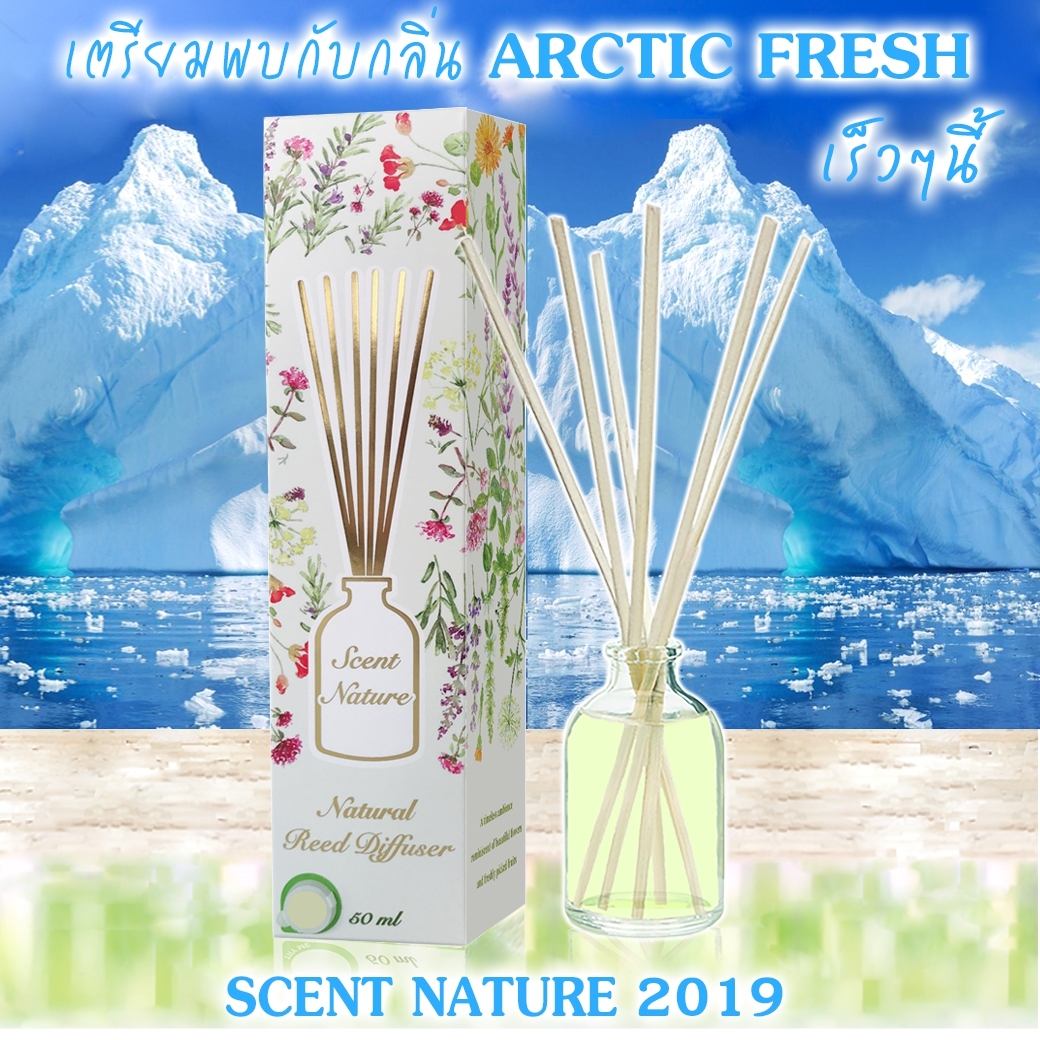 Scentnature ก้านไม้หอมอโรม่าปรับอากาศScentnature กลิ่น Arctic Fresh