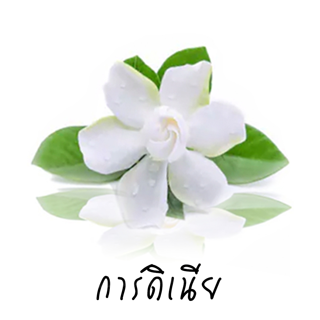 Scentnature ก้านไม้หอมอโรม่าปรับอากาศScentnature กลิ่น Gardenia