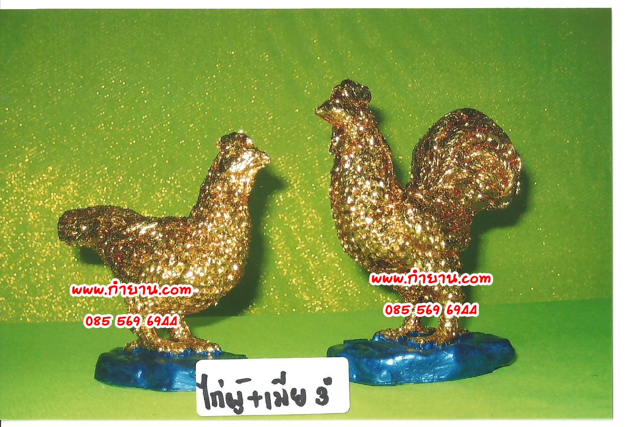 ไก่ ตัวผู้ ตัวเมีย 3"