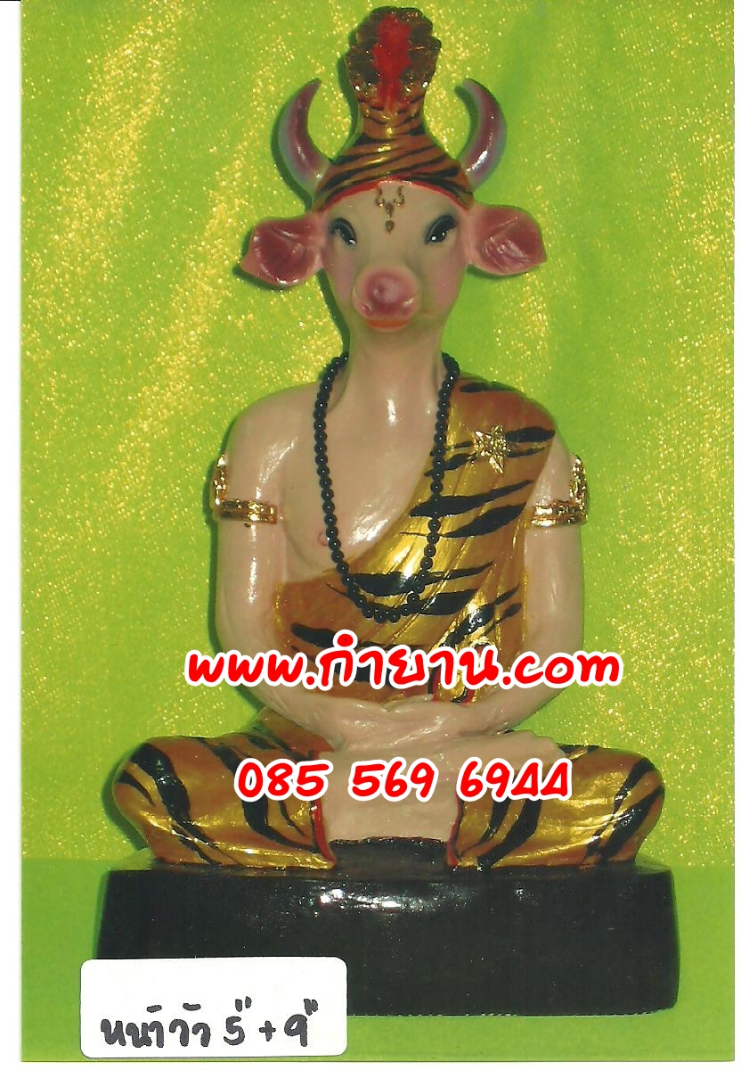 ฤาษีหน้าวัว 5"