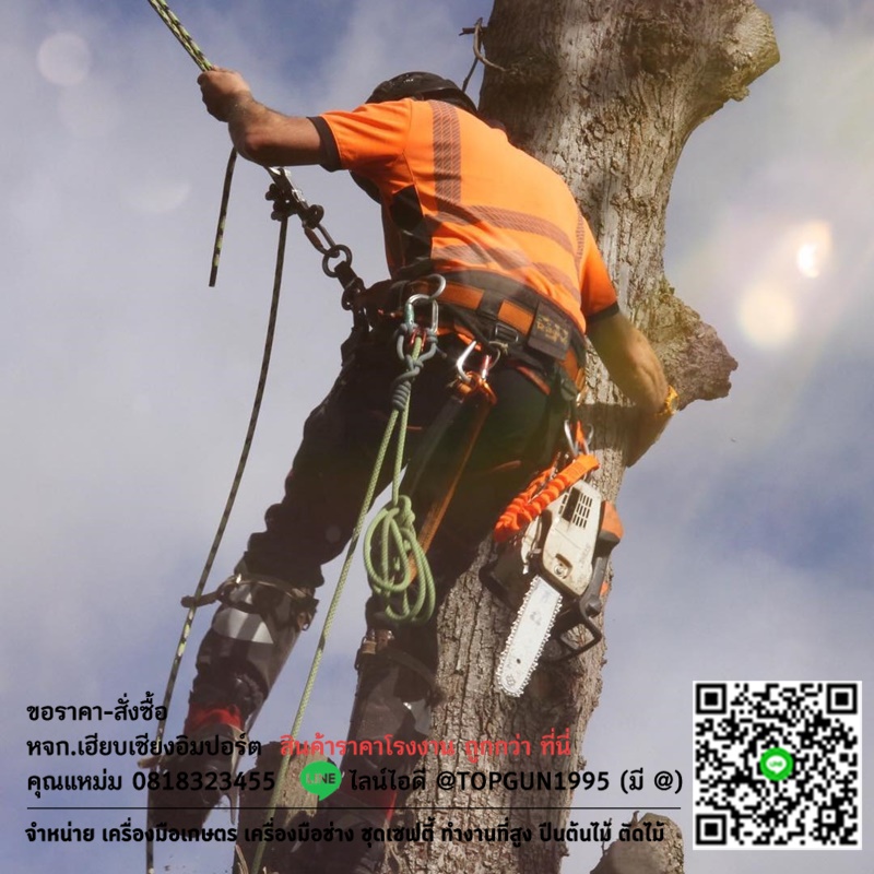 ห่วงเซฟตี้ คาราบิเนอร์อลูมิเนียม ทรงโอ ล็อคอัตโนมัติ Treehog Oval Aluminium Carabiner THK002