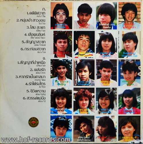 พบดาว - สัญญาที่ป่าเหนือ