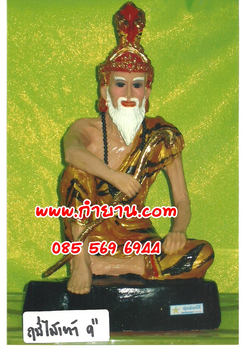ฤาษีไม้เท้า 9"