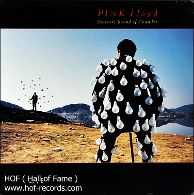 Pinkfloyd - Delicate Sound of Thunder 2lp
