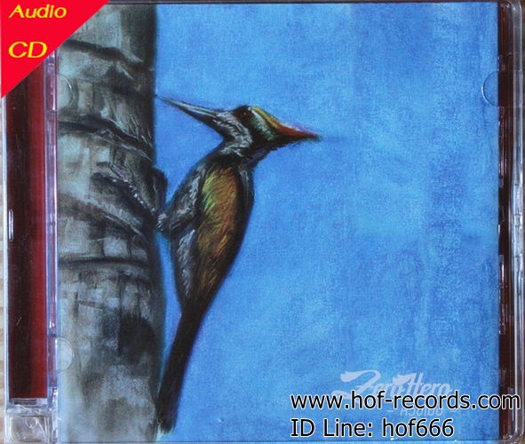 CD Zero Hero - หัวขโมย