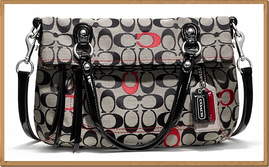 Coach Poppy Embroidered Signature Foldover Crossbody 21189