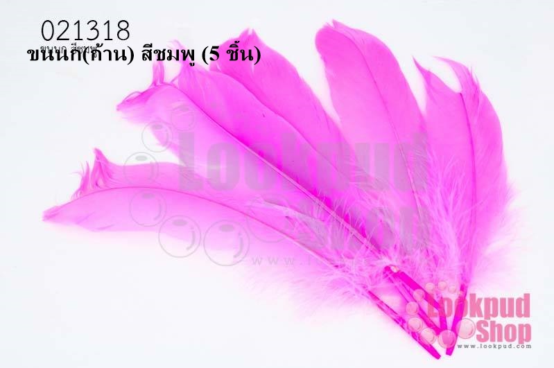 ขนนก(ก้าน) สีชมพู (5 ชิ้น)