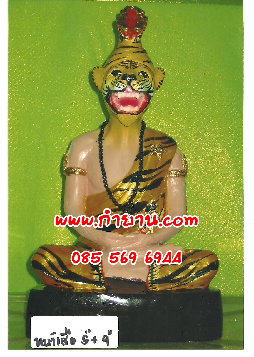 ฤาษีหน้าเสือ 9"