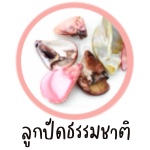 ลูกปัดธรรมชาติ