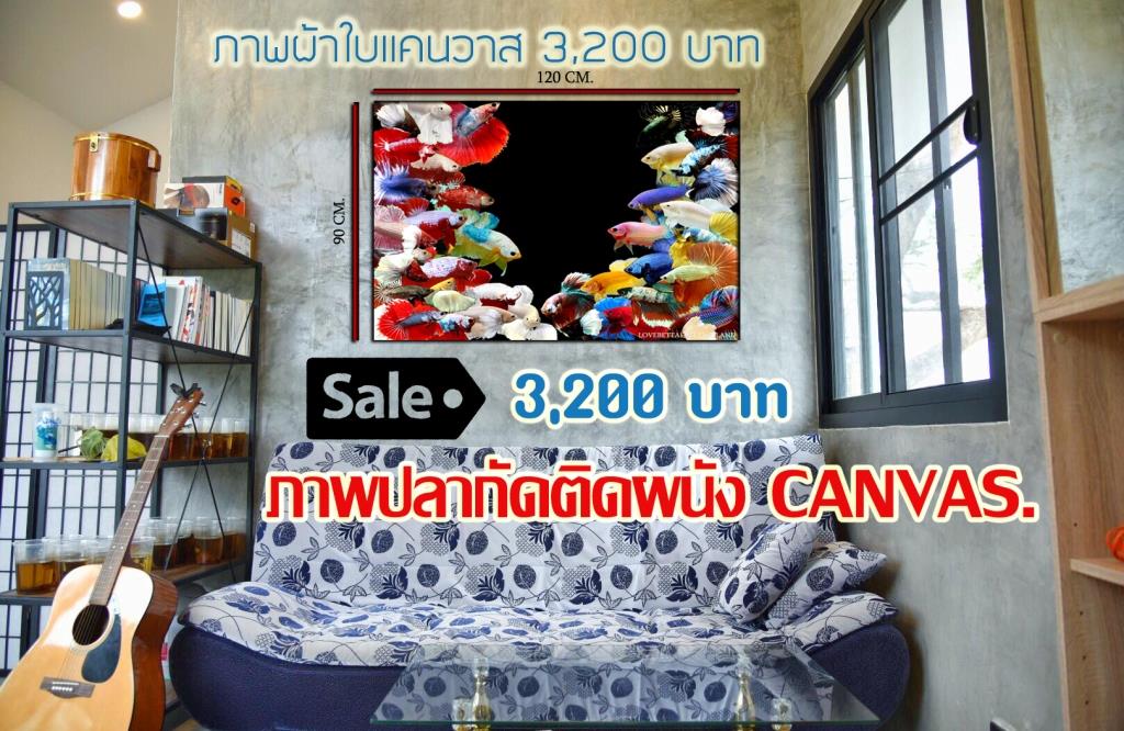ภาพติดผนังลายปลากัด