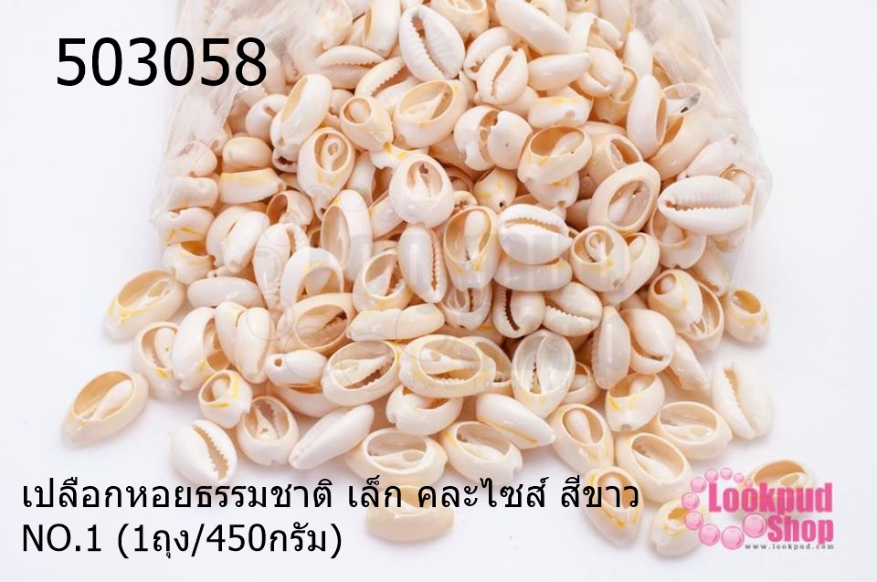 เปลือกหอยธรรมชาติ เล็ก คละไซส์ สีขาว NO.1 (1ถุง/450กรัม)