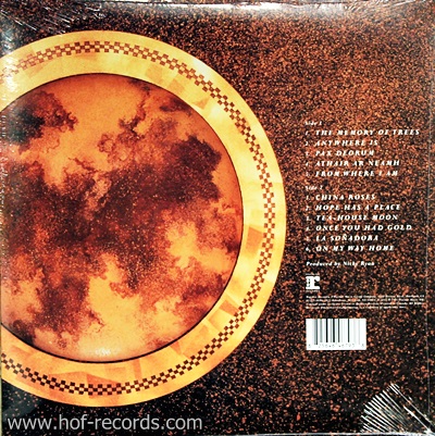 Enya - The Memory Of Trees 1Lp N.