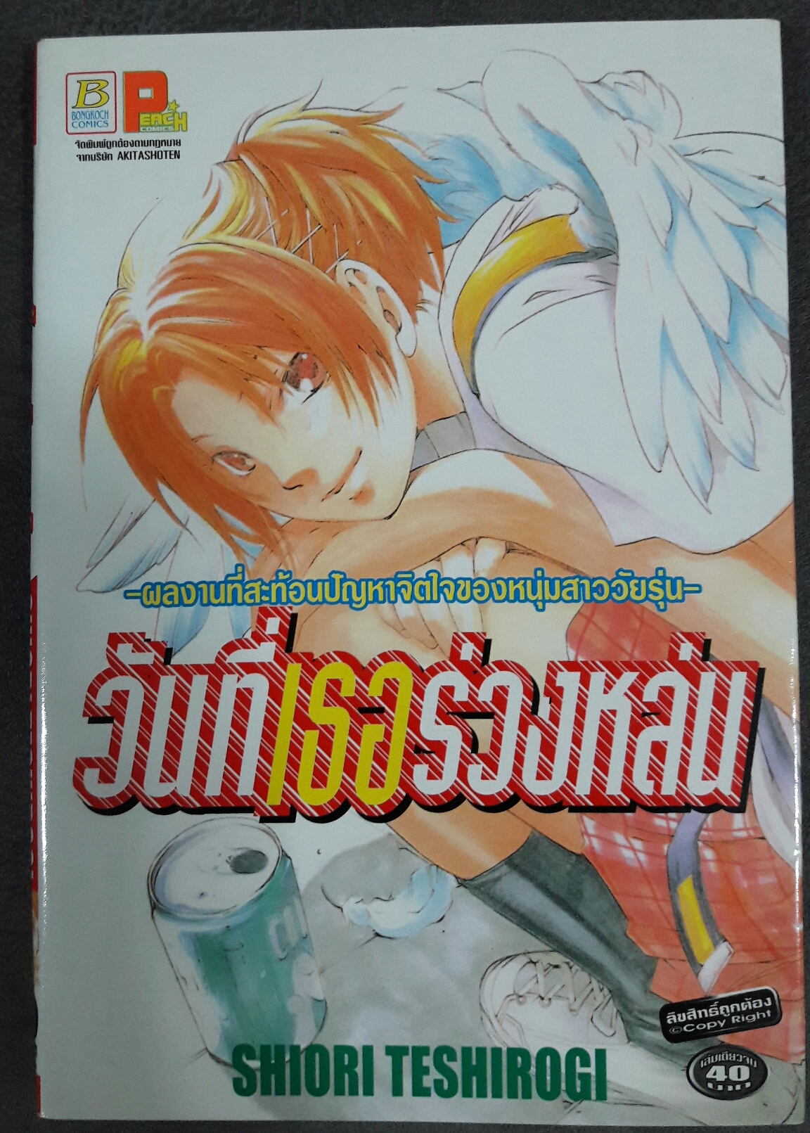 วันที่เธอร่วงหล่น (เล่มเดียวจบ)