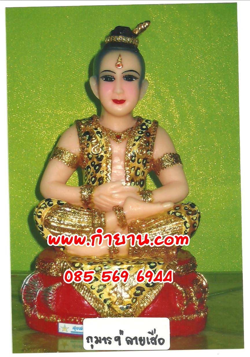 กุมาร 9" ลายเสือ