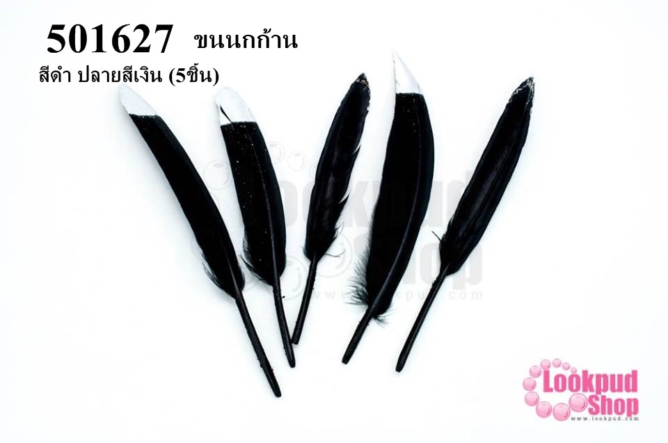 ขนนกก้าน สีดำ ปลายสีเงิน (5ชิ้น)