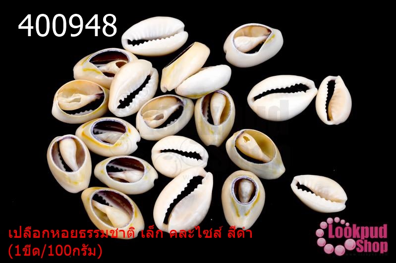 เปลือกหอยธรรมชาติ เล็ก คละไซส์ สีดำ(1ขีด/100กรัม)