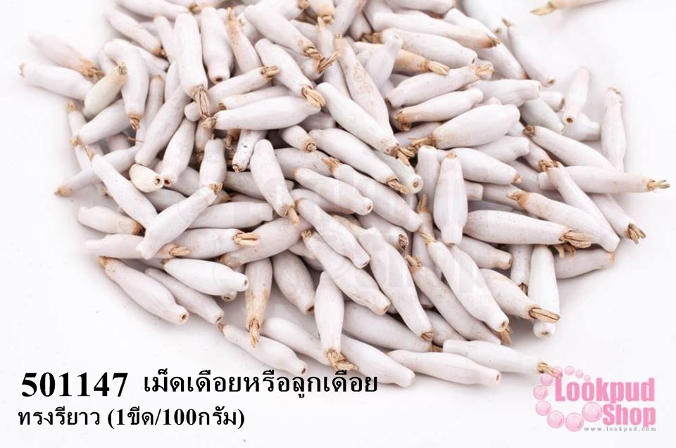 เม็ดเดือยหรือลูกเดือย ทรงรียาว (1ขีด/100กรัม)