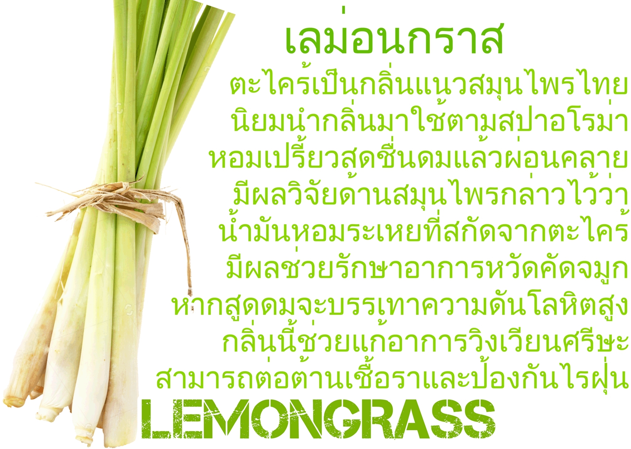 Scentnature ก้านไม้หอมอโรม่าปรับอากาศScentnature กลิ่น Lemongrass