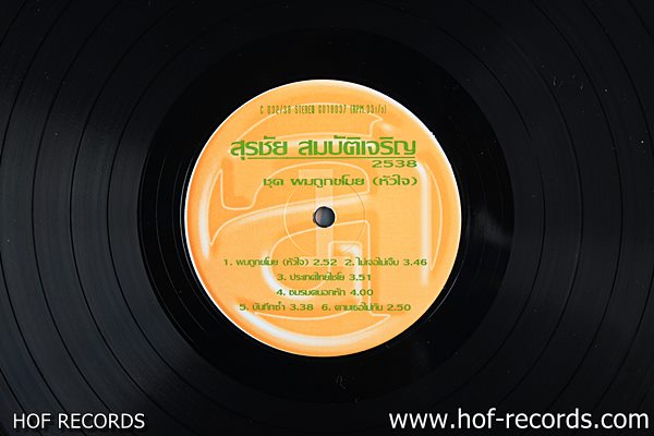 สุรชัย สมบัติเจริญ 2538 ชุด 1 ผมถูกขโมยหัวใจ