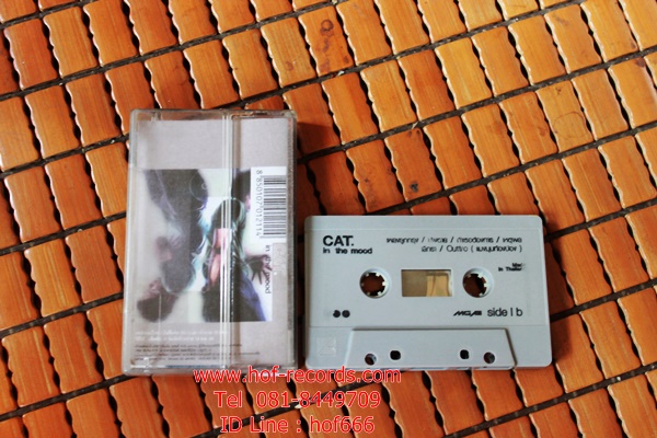 T แมว จิรศักดิ์ ปานพุ่ม - in the Mood ( Used Tape Cassett )
