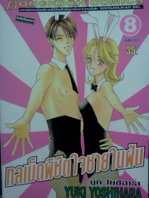 กลเม็ดพิชิตใจชายในฝัน (8เล่มจบ)