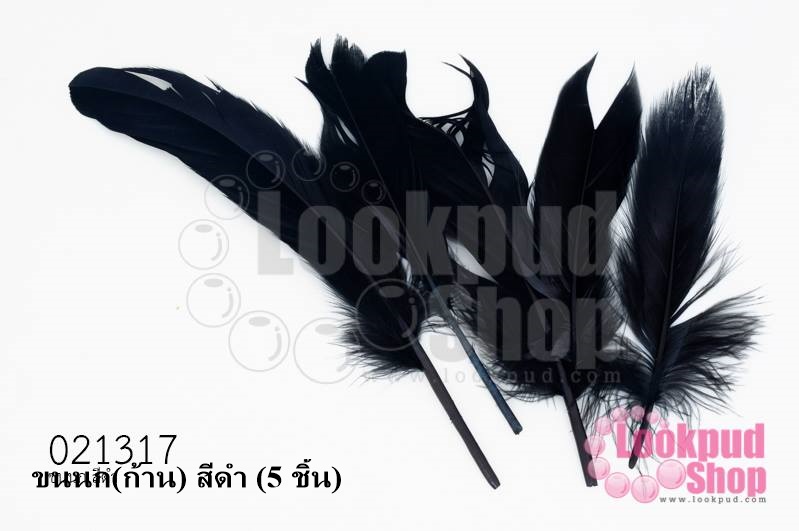 ขนนก(ก้าน) สีดำ (5 ชิ้น)