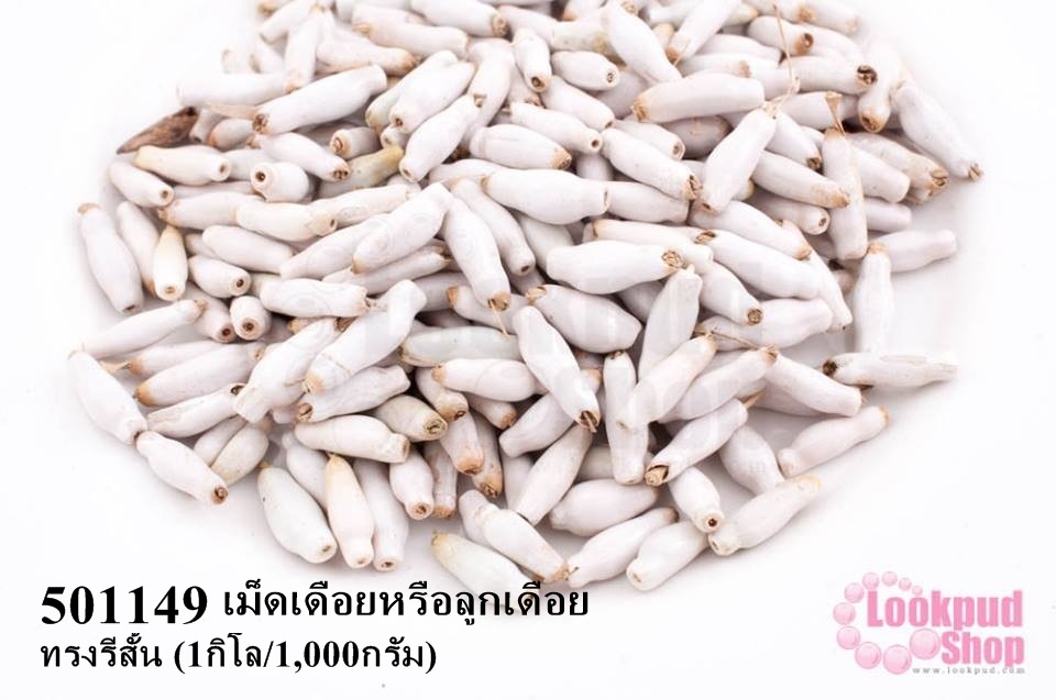 เม็ดเดือยหรือลูกเดือย ทรงรีสั้น (1กิโล/1,000กรัม)