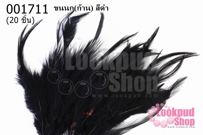 ขนนก(ก้าน) สีดำ (20 ชิ้น)
