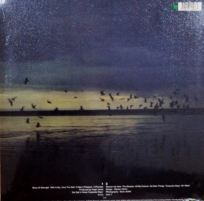 Echo And The Bunnymen - Heaven Up Here 1Lp N.