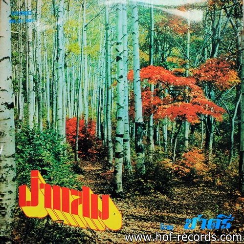 วง ชาตรี ชุด หลงรัก - ป่าแสม โดย ชาตรี ปก VG++แผ่น VG ++