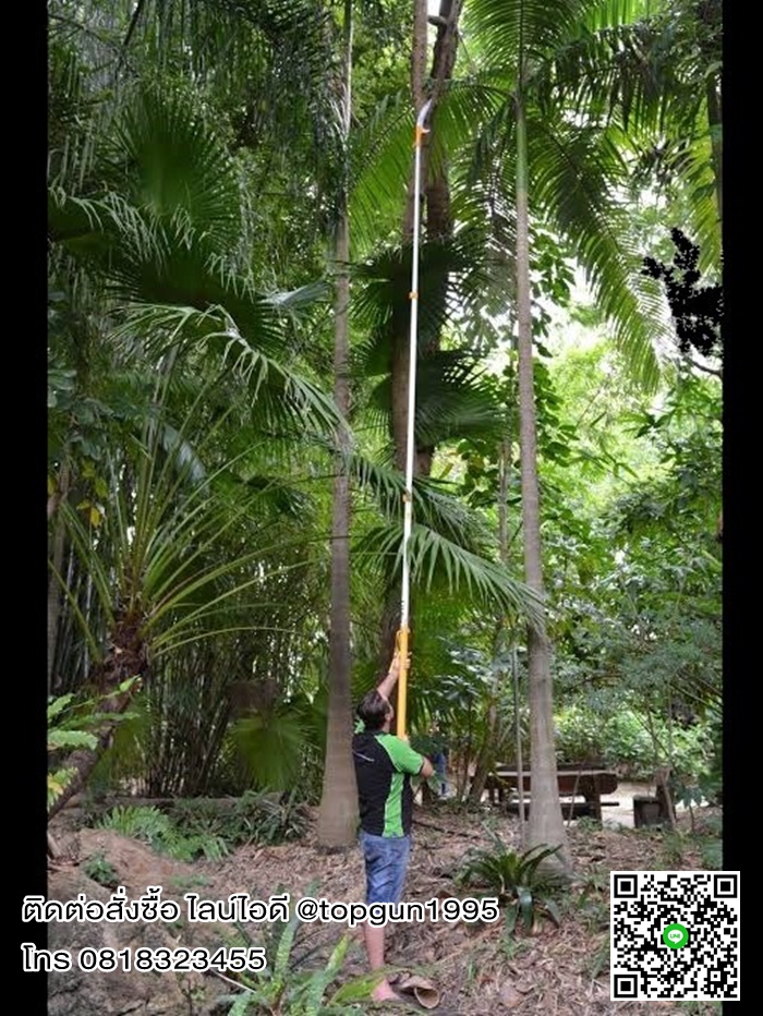 เลื่อยตัดกิ่งไม้สูง ต่อด้าม ปรับยืดได้สูงสุด 6.2 เมตร ซูกี้ ฮายาเตะ Silky Saws HAYATE 372-42