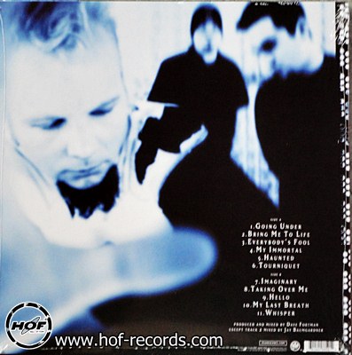 Evanescence - Fallen 1 LP New